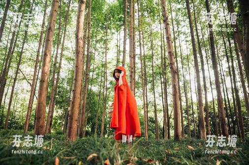 奈汐酱Nice 梦游到奈汐酱Nice的私房睡衣世界,图片里的感觉真好。