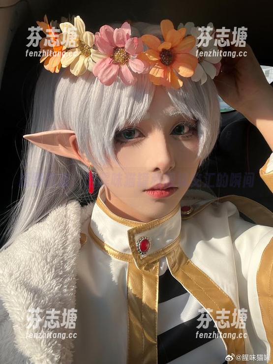 腥味猫罐 原图档案:当腥味猫罐和眼镜交汇的瞬间